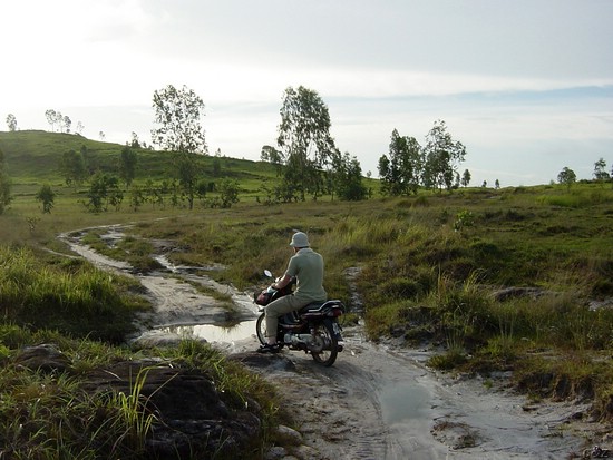 2986- winding the afternoon through the pirated backlands