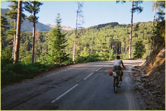 aitone forest climb.jpg