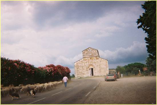 etang de biguglia la canonica.jpg