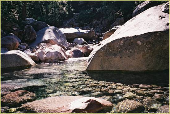 rivers are limpid on corsica.jpg