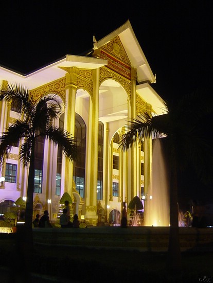 2458- the palace of culture in vientianne