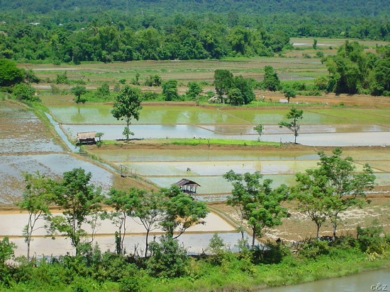 2476- view from the caves mouth