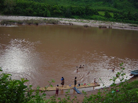 2561- the local bathroom & laundry