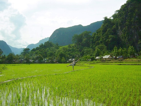 2578- lao lao out of ballance