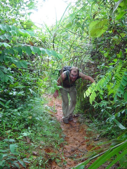 2606- trekking it up into deepest jungle -- 20km NW of muang khua