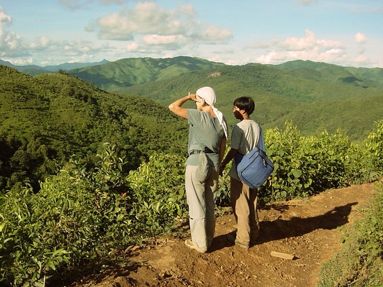 2623- the usa guarantee theres no more opium fields up here--