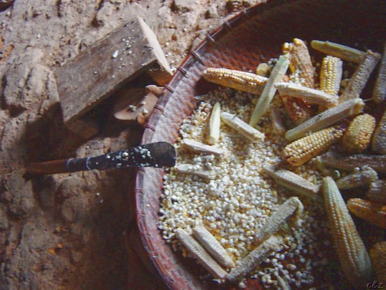 2640- staple diet of the mayors faimily