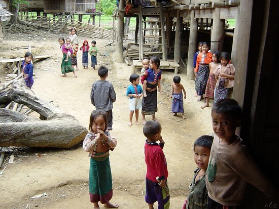 2656- thai dam -- the snake snatchers village