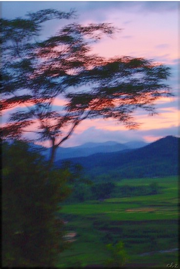 2696- qudomixai through the chinese filter