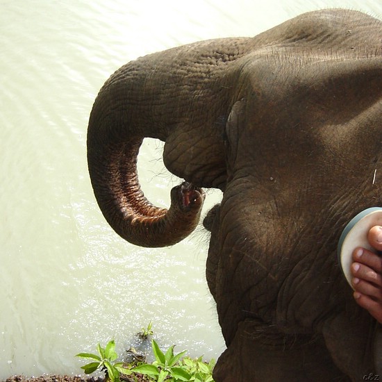 2800- mumba having a drink