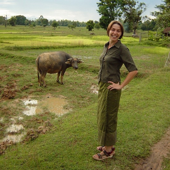 2851- water-buffalo in love