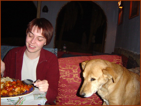 1053 - having chicken with dogs & cats @ Shark's.JPG