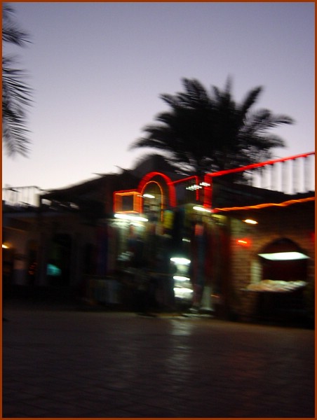 1122 - fuzzy evening.JPG