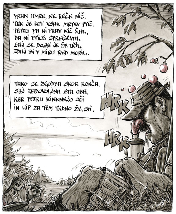 Roza via Kociper: Peter, boter
                  Marjanov