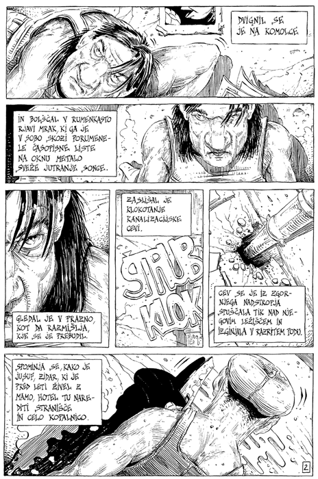 Podgana / The
                  Rat