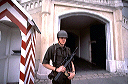 bb-austria-305