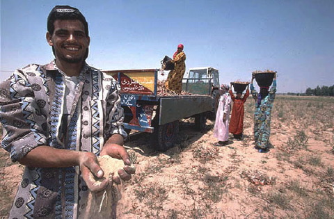 bb-egypt-103
