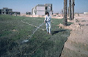 bb-egypt-008