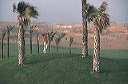 bb-egypt-013