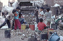 bb-egypt-031
