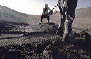 bb-egypt-070