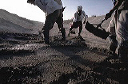 bb-egypt-071