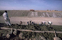 bb-egypt-075
