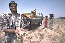 bb-egypt-103