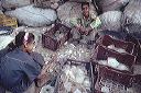 bb-egypt-178