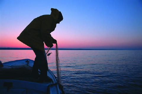 ac-rovinj-003