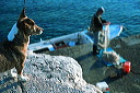ac-rovinj-006