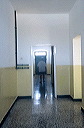 ac-susac_022