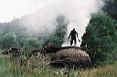 bb-vrac-019