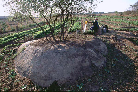 bb-zwe-120