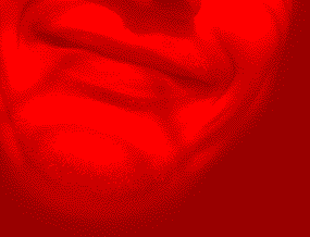 novcd3