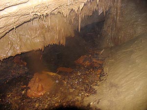 Predjama