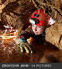 Zirovcova_01-2010_velika