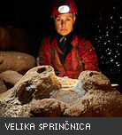 velika sprincnica mala 2