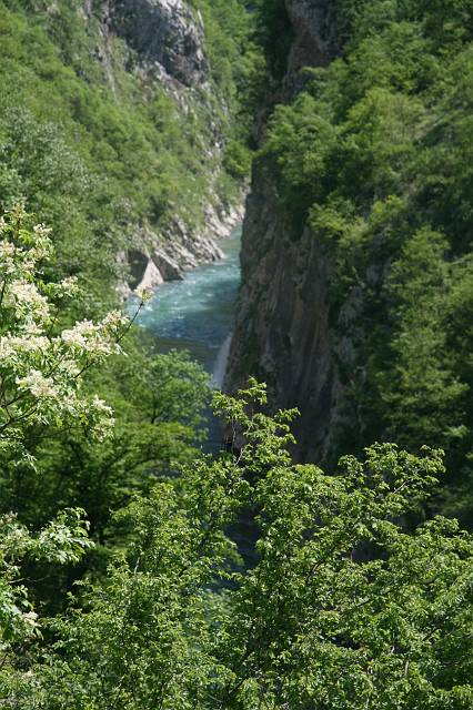 IMG_2348.JPG - Foto: Iztok Trek - Jolbe