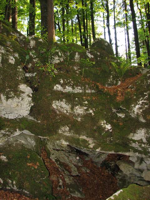 IMG_5122.JPG - Foto: Valter Rupnik