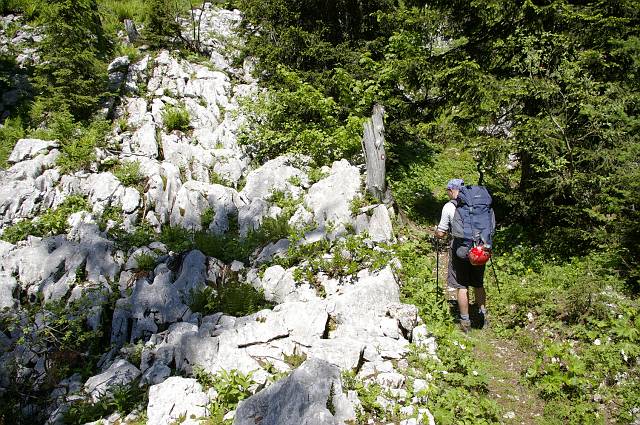 Slika015.JPG - Foto: Peter Gedei