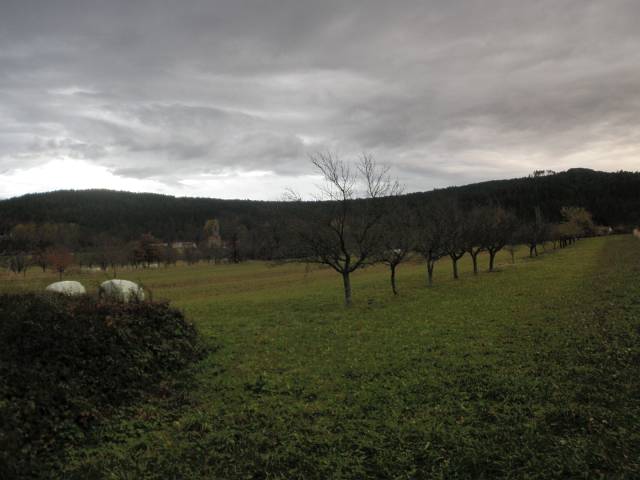 PB081325.JPG - Foto: Neboja Matijevi