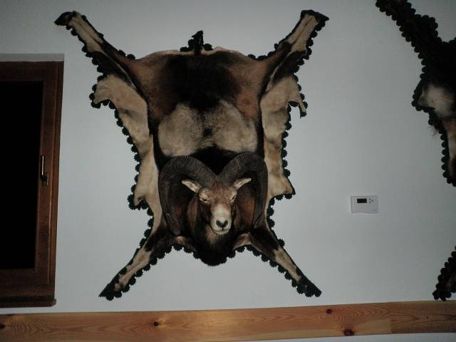 Lucifer_189.JPG - Foto: Neboja Matijevi