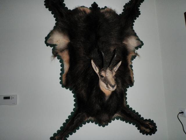 Lucifer_190.JPG - Foto: Neboja Matijevi