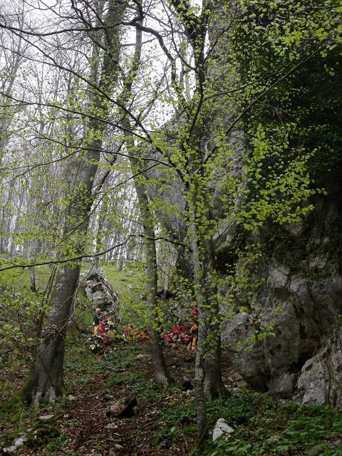 P4253274.JPG - Foto: Neboja Matijevi
