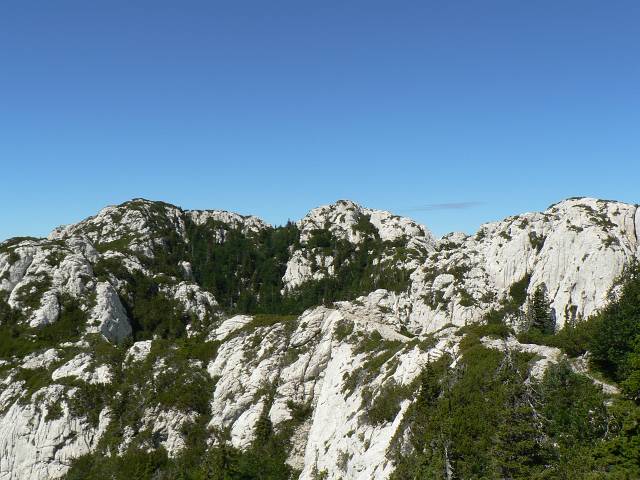 P1080608.JPG