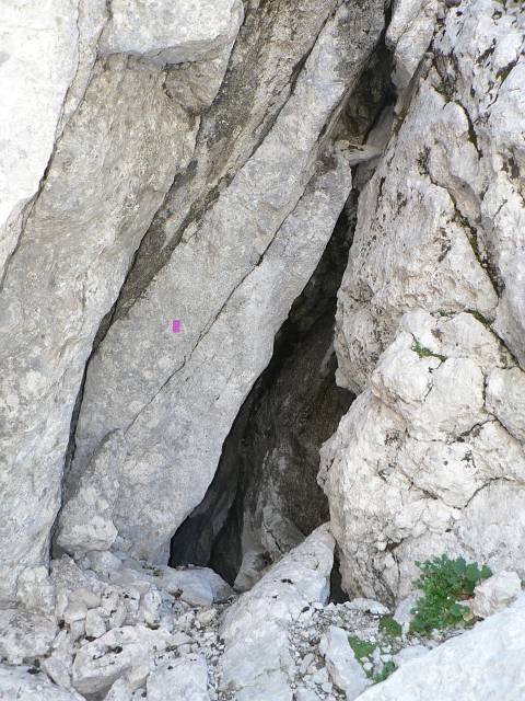 P1080610.JPG