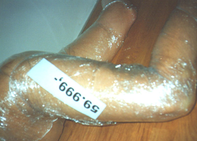 Image 400x300