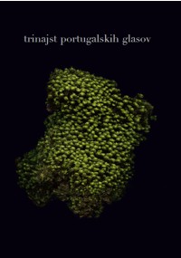 Trinajst portugalskih glasov
