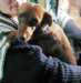 Photo Number 4